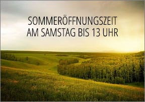 Sommeröfnungszeiten Longtone Wien