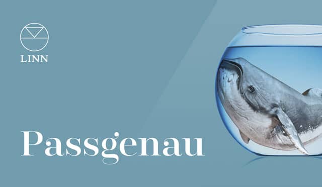 Linn Selekt Netzwerk Musikplayer kaufen